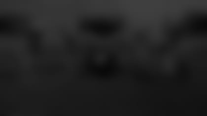 Parallax_CP_2014_SBT_0710_0103