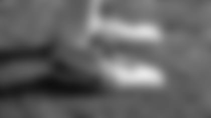 Diary_Farrior_shoes.JPG