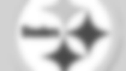 stelogo_nolines_102320.jpg