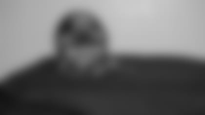 01142011_Diary_Helmet.JPG