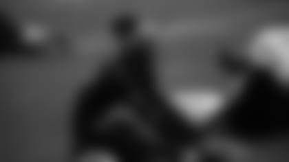01122011_Diary_Wallace_1.JPG