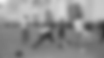 01212011_Diary_Tomlin_RBs.JPG