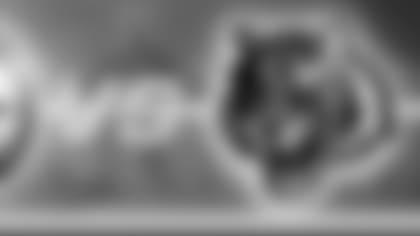 gameday_header_bengals_45793.jpg