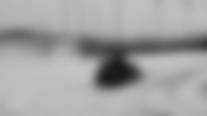 2011_Diary_Clear_Field3_1_10.JPG