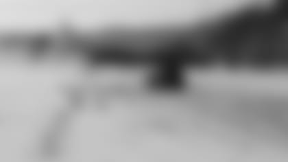 01172011_Diary_Field_2.JPG