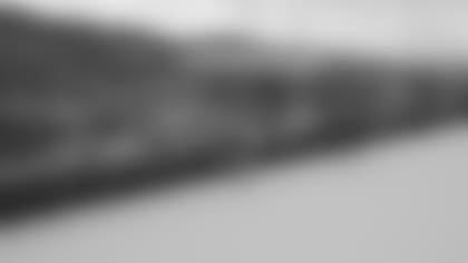 2011_Diary_Snow1_1_7.JPG