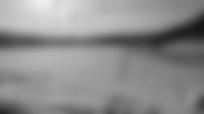 01172011_Diary_Field_3.JPG