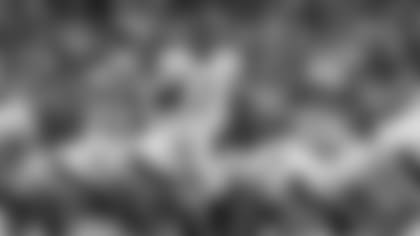 01062014_9reasons_Roethlisberger.jpg