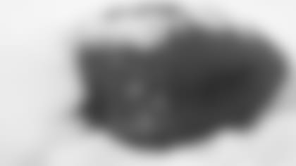 01132011_Diary_NFL_Football_snow2_Diary.jpg