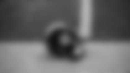 01252011_Diary_Helmet.JPG