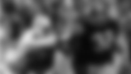 10252013_SteelersRaidersPostseason_1.jpg