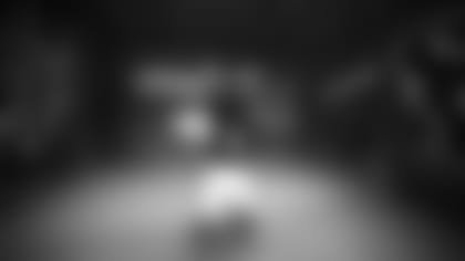 E73A6013
