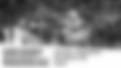 18_graphics_Rousseau