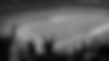 fans_texans_stadium400.jpg