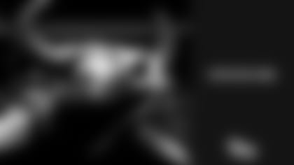 bull_head_thumb.jpg