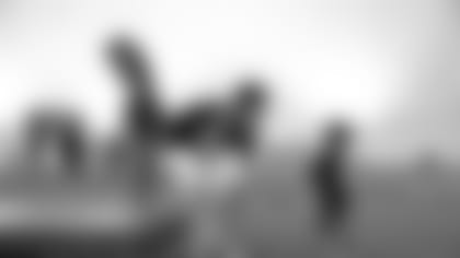 _3MP8380