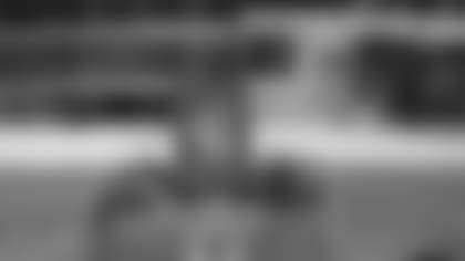 survivor550pixels.jpg