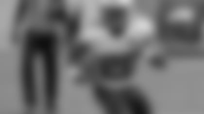 sankey600-112515.jpg