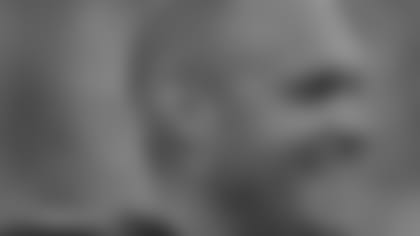 bironas110211.jpg