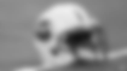 helmet600-102014.jpg