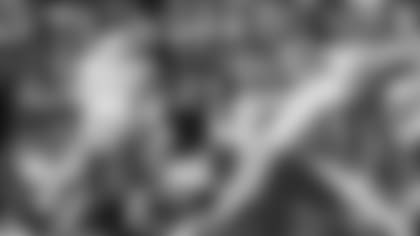 dolphins-notebookMD093018_DS0078-copy