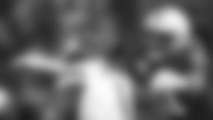 AP_19335190215019