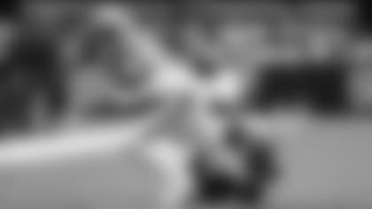 Terrace Marshall Jr.