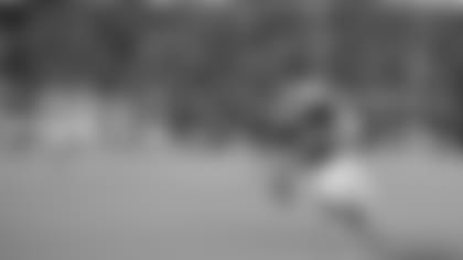 Buffalo Bills wide receiver Steve Tasker is pushed of bounds after making a catch during the Bills 37-22 victory over the Miami Dolphins in the 1995 AFC Wild Card Playoff Game on December 30, 1995 at Rich Stadium in Orchard Park, New York. 1995 AFC Wild Card Playoff Game - Miami Dolphins vs Buffalo Bills - December 30, 1995 (Paul Spinelli via AP)