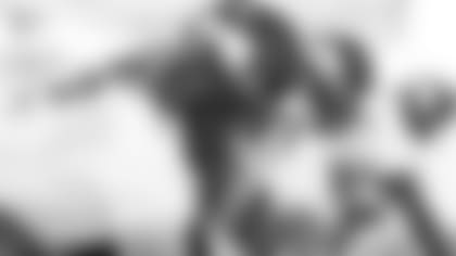 stormy-norton-080818