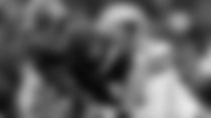 lamur-header-031016-header-2.jpg
