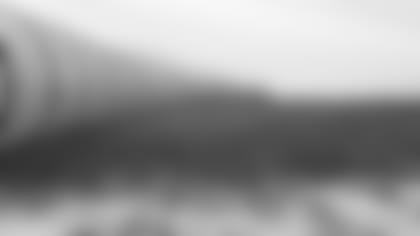 field-1.jpg