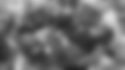 nova-012417-head.jpg