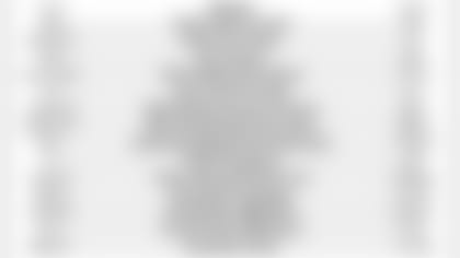2015StatisticalSnapshotchargers.JPG