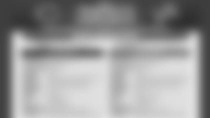 bears-lions-16-9-Template