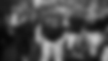 elflein-feature-2-2506