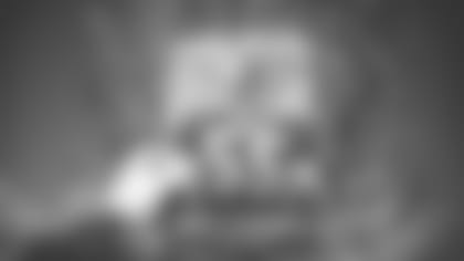 Viking for Life: A Four-Decade Football Love Affair