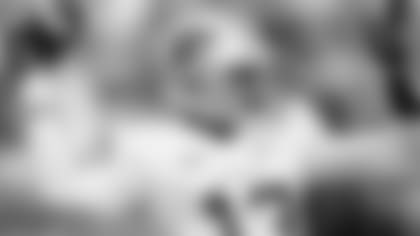 lamur-header-031016-header-1-brother.jpg