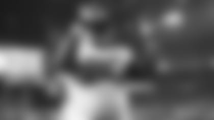 raji-fa-030316-header.jpg