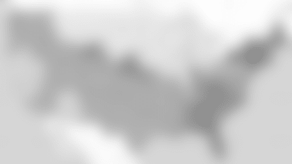 04-FOX-V2.png