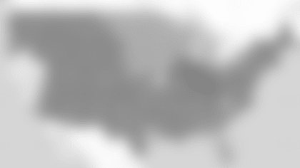14-FOX-E-V2.png