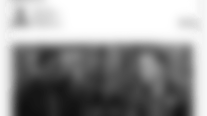 willy-embed2.png