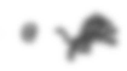 NOatDET.png
