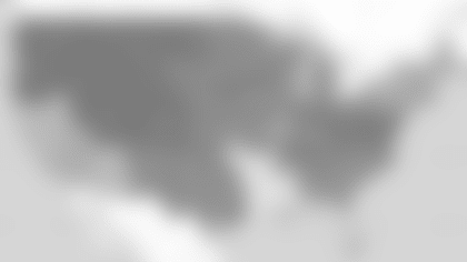 09-FOX-V2.png