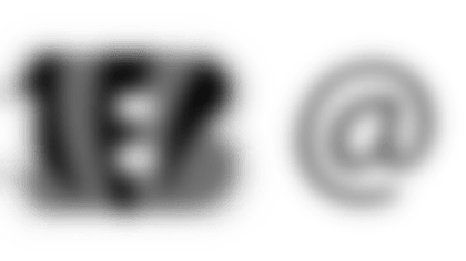 CINatARI.png