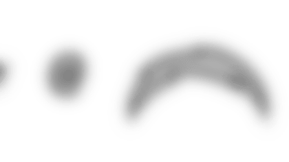 NEatSD.png
