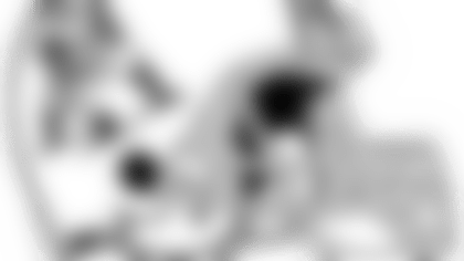 pat-classic-hel-34-rf-web.png