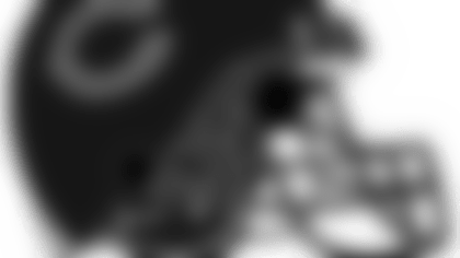 bea-hel-34-rf-web.png