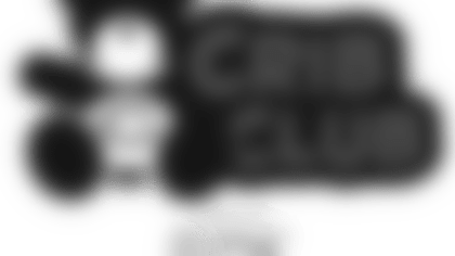 CC_rgb_v1.png