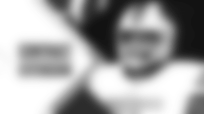 daryl-williams-extension