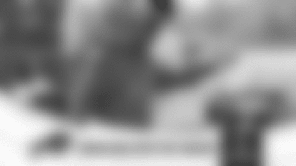 ConsultingWiththeCoaches